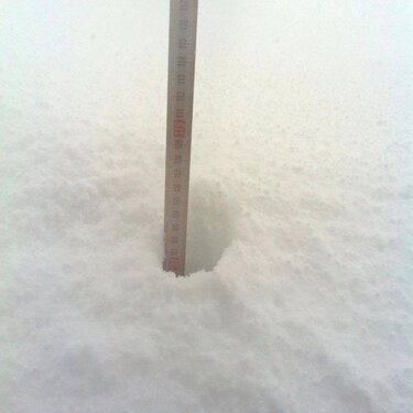 Αμιράς Βιάννου