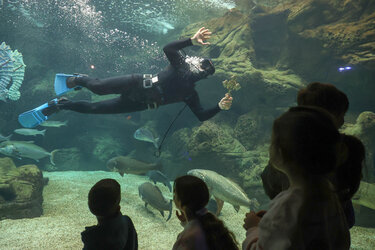 Θεοφάνεια Ενυδρείο