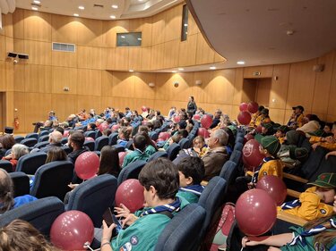 Πρόσκοποι πίτα