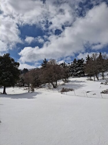 Ασκύφου Χιόνια