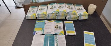 Δήμος Μινώα Πεδιάδας, αδέσποτα ζώα