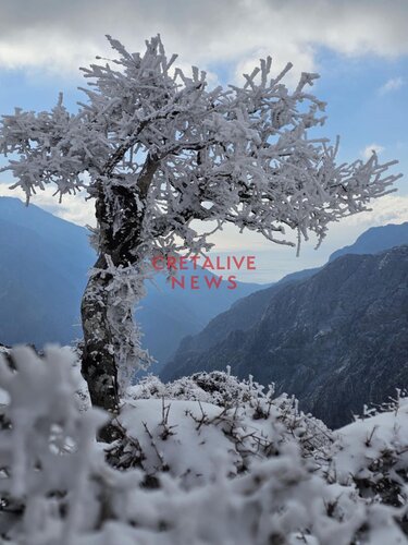 εικόνες Ομαλός