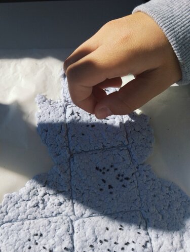 Τοποθέτηση σπόρων