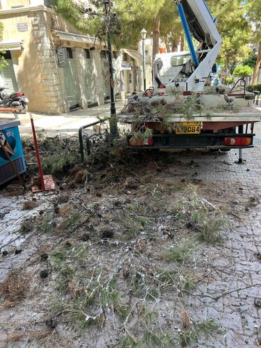 Άγιος Νικόλαος, Πράσινο