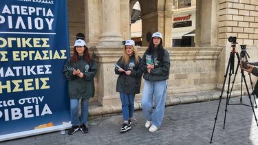 Απεργία, ΓΣΕΕ