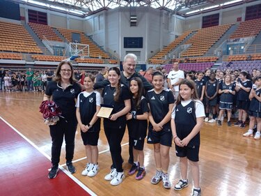 Τουρνουά μίνι μπάσκετ