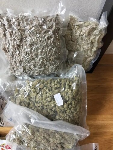  Γιος μεγαλογιατρού σε συμμορία που διακινούσε ροζ κοκαΐνη