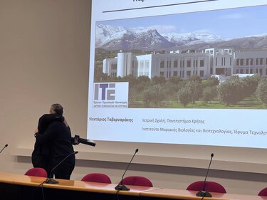 tavernarakis harmandaris