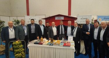 Δήμος Βιάννου, ΔΕΕΚ