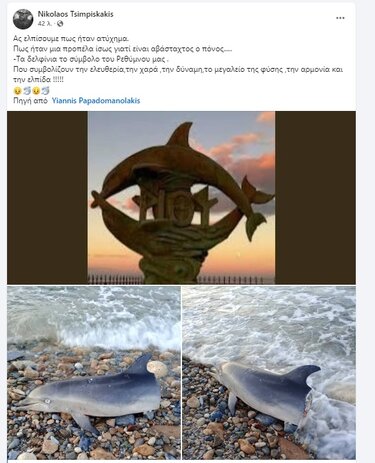 Ρέθυμνο δελφίνι