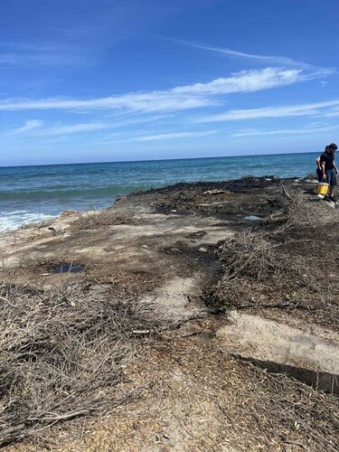 Αναστάτωση στην Ανάληψη με τη Φουνάρα της Ανάστασης