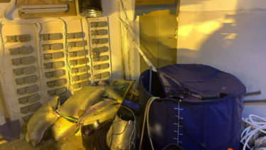 εγκληματική-οργάνωση-κοκακίνη-skunk