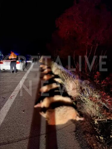 ΒΟΑΚ, Τροχαίο, πρόβατα