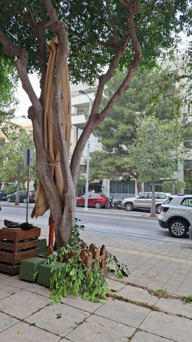 Λεωφόρος Δημοκρατίας, πτώση δέντρων