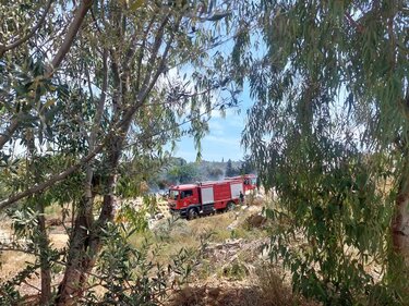 φωτιά Αγία Πελαγία