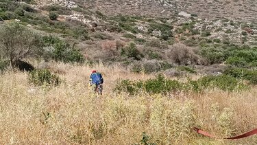 Άσκηση Χερσόνησος