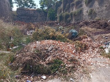 Χωματερή, Ευκάλυπτος 