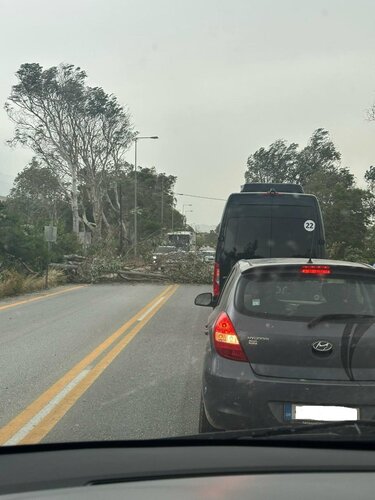 ΒΟΑΚ δέντρα 