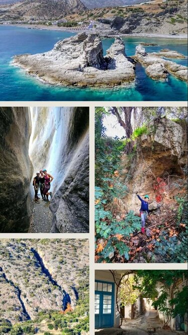 Εξόρμηση, Δρόμοι Ζωής