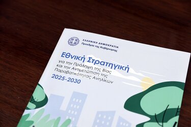 Εθνική στρατηγική, Βία ανηλίκων