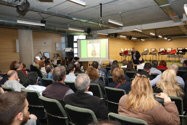 Φεστιβάλ κιθάρας