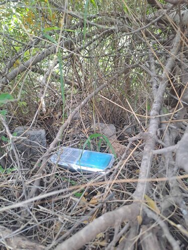 Κοκαινη Σίσι