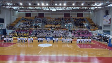 Γιορτή πολιτισμού, Πρωτοβάθμια Εκπαίδευση