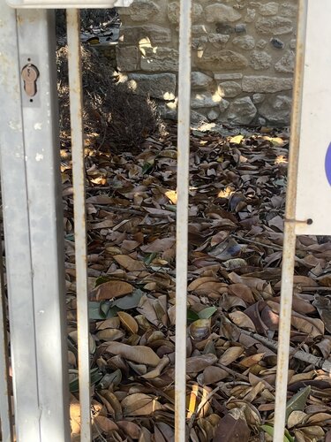 Κνωσός Βασιλικός τάφος σκουπίδια