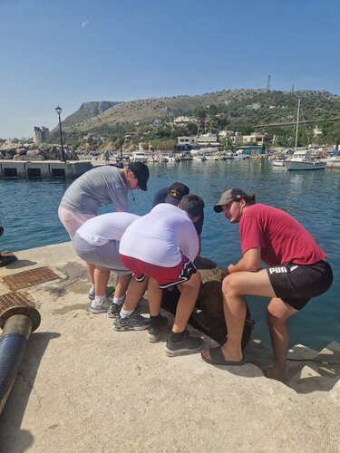 Λιμενάρχης καθαρισμοί