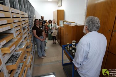 moyseio fysikis istorias