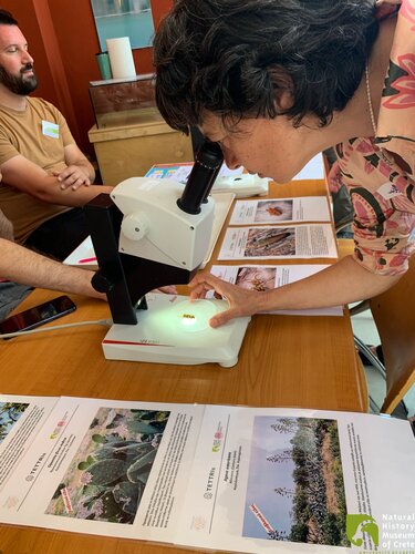 moyseio fysikis istorias