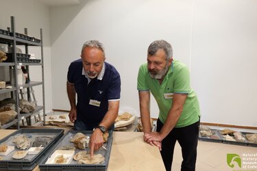 moyseio fysikis istorias