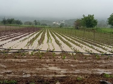 Οροπέδιο Λασιθίου, Πλημμύρες
