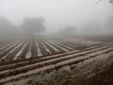Οροπέδιο Λασιθίου, Πλημμύρες