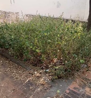 Πάρκο, Καμίνια, Ηράκλειο