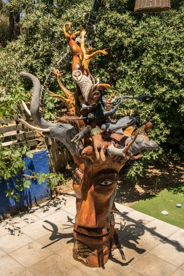 κορμος ευκάλυπτου