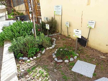 A' Βραβείο στον βοτανόκηπο του 10ου ΓΕΛ Ηρακλείου