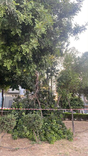 Κλαδί, πάρκο