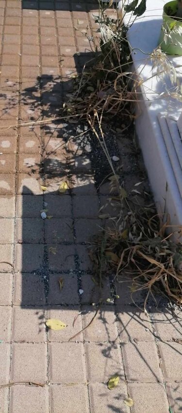 Εικόνα εγκατάλειψης στο Νέο Κοιμητήριο Ηρακλείου