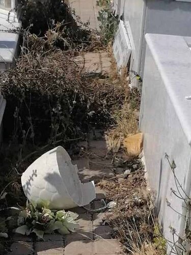 Εικόνα εγκατάλειψης στο Νέο Κοιμητήριο Ηρακλείου