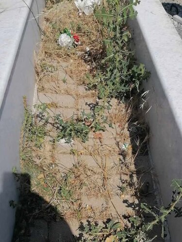 Εικόνα εγκατάλειψης στο Νέο Κοιμητήριο Ηρακλείου