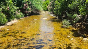 Αμαριανός-Ποταμός 