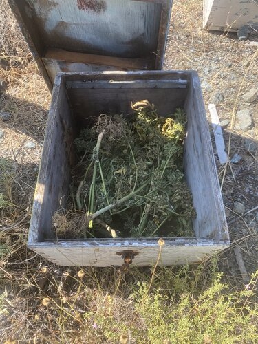 Δενδρύλλια, Γόρτυνα