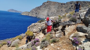 Ισραηλινή αγνοούμενη, έρευνες