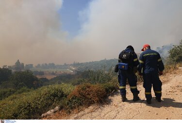 Φωτία, Χίος