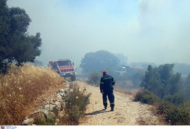 Φωτία, Χίος