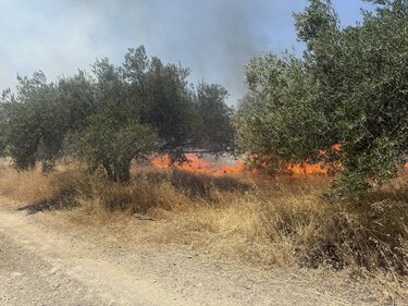 Φωτιά, Χάρακας