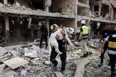 Διασώστες σώζουν έναν σκύλο μετά την πυραυλική επίθεση του Ιράν στο Τελ Αβίβ του Ισραήλ