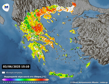 λαγουβάρδος φωτογραφία