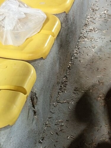 σκουπίδια παγκρήτιο